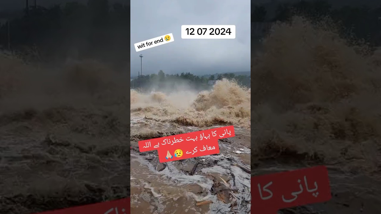 Satluj River Today News 2024 || Pani ki taaza tarin update || dariya Satluj today News 