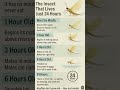 Why Mayflies Live Only 24 Hours – Nature’s Fastest Life Cycle