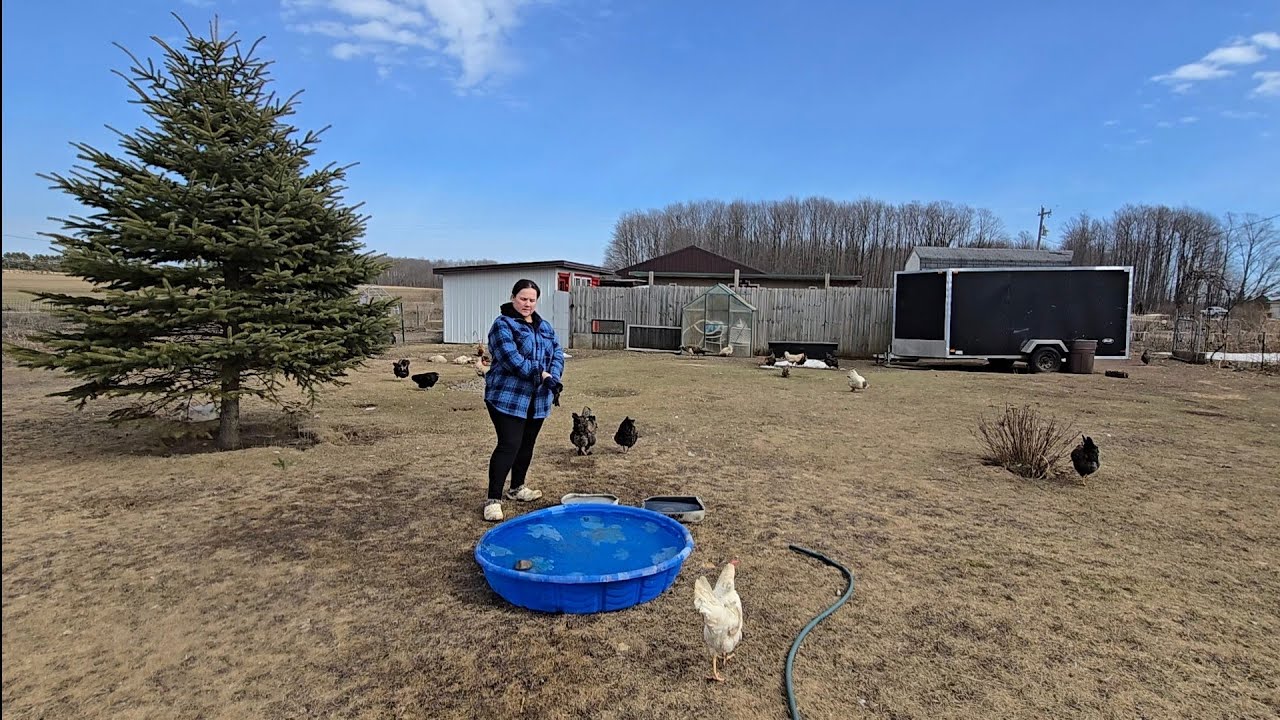  ХОТЕЛА КАК ЛУЧШЕ НО НЕ ПОЛУЧИЛОСЬ. 