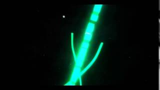 [SB] Intro