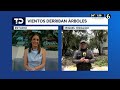 Tromba deja 21 árboles caídos, vehículos dañados y deja sin luz a vecinos de la Miguel Hidalgo