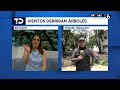 Tromba deja 21 árboles caídos, vehículos dañados y deja sin luz a vecinos de la Miguel Hidalgo