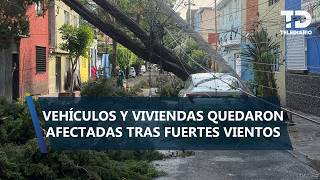 Tromba deja 21 árboles caídos, vehículos dañados y deja sin luz a vecinos de la Miguel Hidalgo