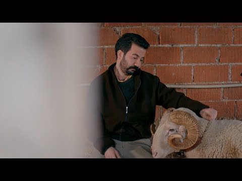 Hem Okudum Hem Yazdım - Sadık Söylüyor - Kalk Gidelim 9. Bölüm
