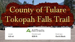 Tokopah Falls Trail (Quick Guide)