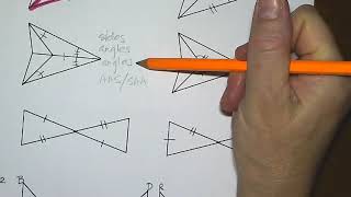 Chapter 2 Study Guide