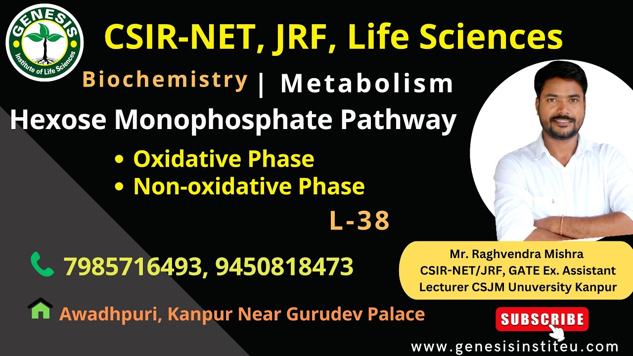 Hexose Monophosphate Pathway | Oxidative & Non-oxidative Phase | Biochemistry#genesis_institute