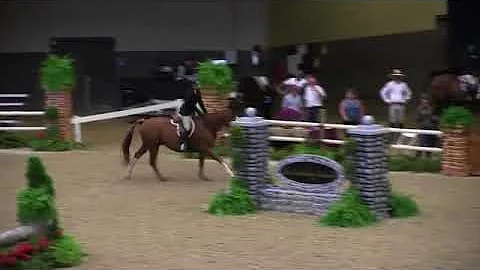 Video of FAMOS AMOS ridden by ANNIE IRWIN from Sho...