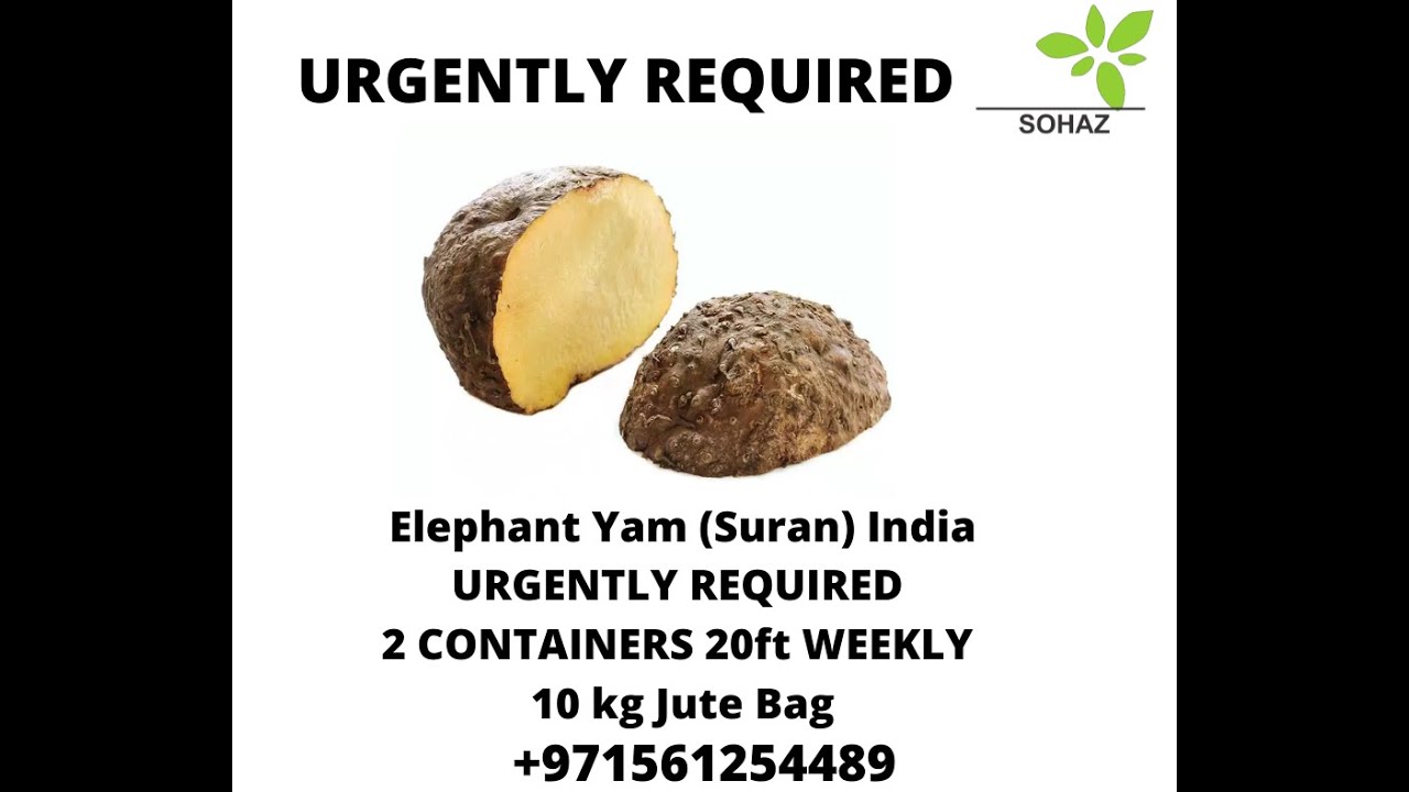 UAE Dubai Rates September 10 2022 Sohaz Foodstuff Trading YouTube uae-dubai-rates-september-10-2022-sohaz-foodstuff-trading-youtube
