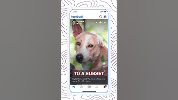 Meta Reels AB Testing