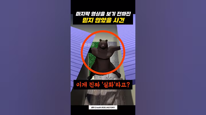중국에서 일어난 충격적인 '곰 사건'