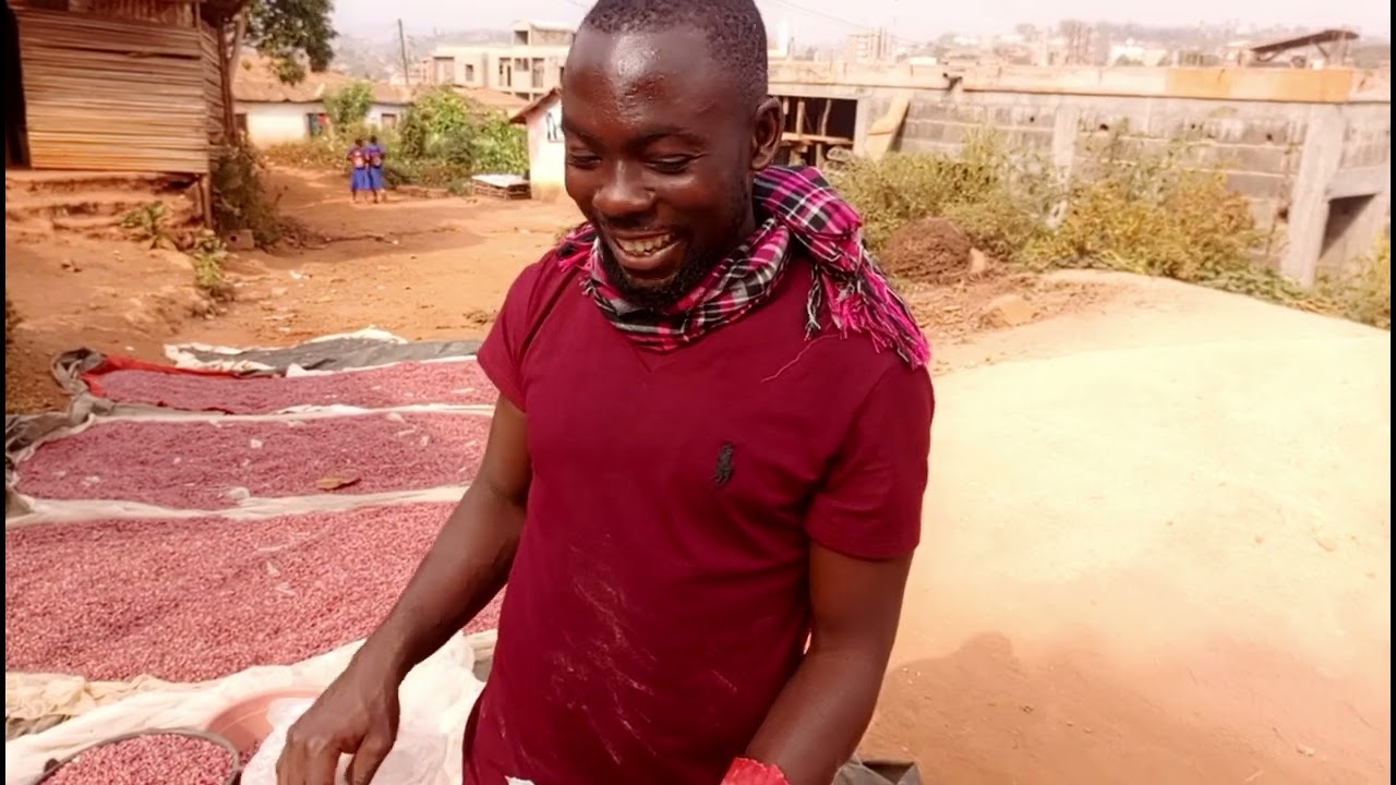 Le plus grand producteur de haricots au Cameroun vous explique comment on conserve les graines.