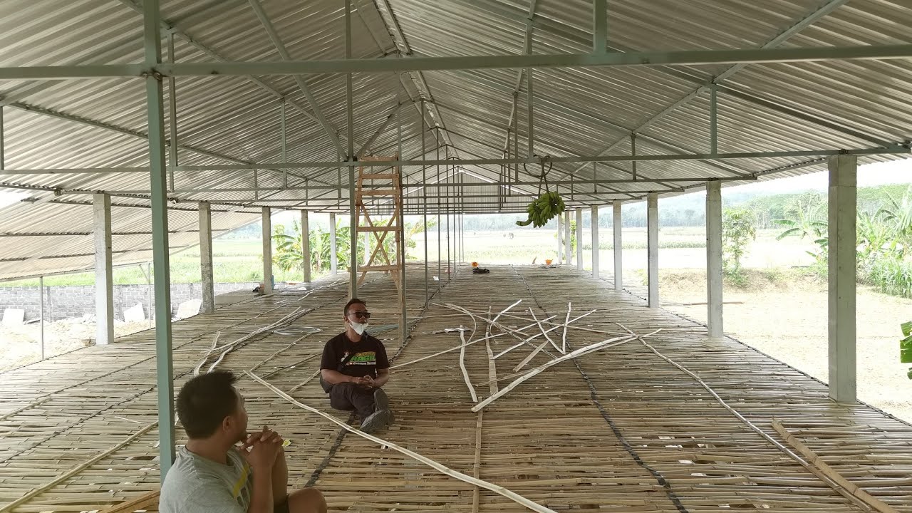 bangun kandang dari 0 habis 85jt lokasi bacem lodoyo blitar