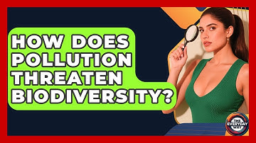 How Does Pollution Threaten Biodiversity? - The Everyday Why
