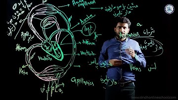 Circulation of blood| Science Class 7| Chapter 2| Lecture 4| Sindh Online School