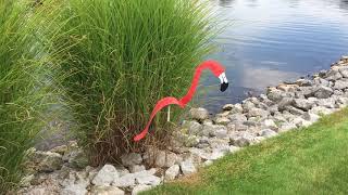 Florida Dancing Birds® Coral Flamingo Garden Art