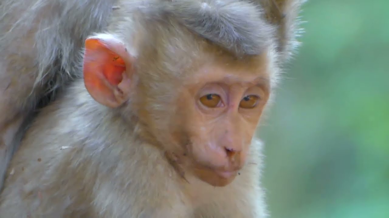 OMG! Million Pity Poor Baby, What's wrong with Mama?