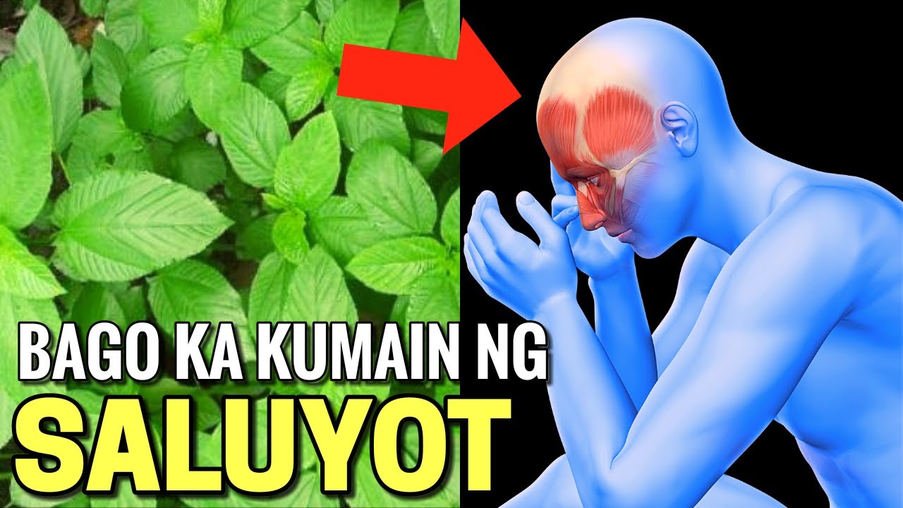 BAGO KA KUMAIN NG SALUYOT, PANOORIN MO MUNA ITO!