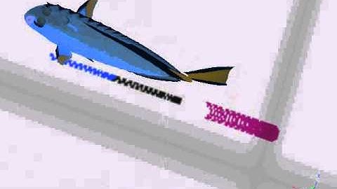 Simulated Lateral Line Sensing of an Artificial Fish Robot