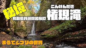 【秘境】ジブリの世界に迷い込んだ！静寂に包まれた滝　鳥取若桜町の『権現滝』が美しすぎた