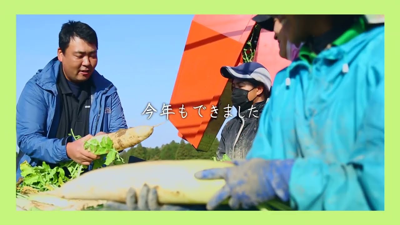 確認用、露地間引き大根菜 fd0ee7dc0798f02c8e9bd9b1bf4734