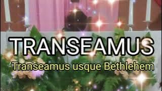 TRANSEAMUS/Natal/instrumen lagu rohani dengan lirik tanpa vokal/cover