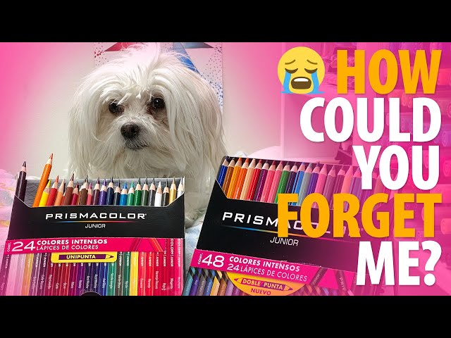 UNBOXING PRISMACOLOR PREMIER COLORED PENCILS