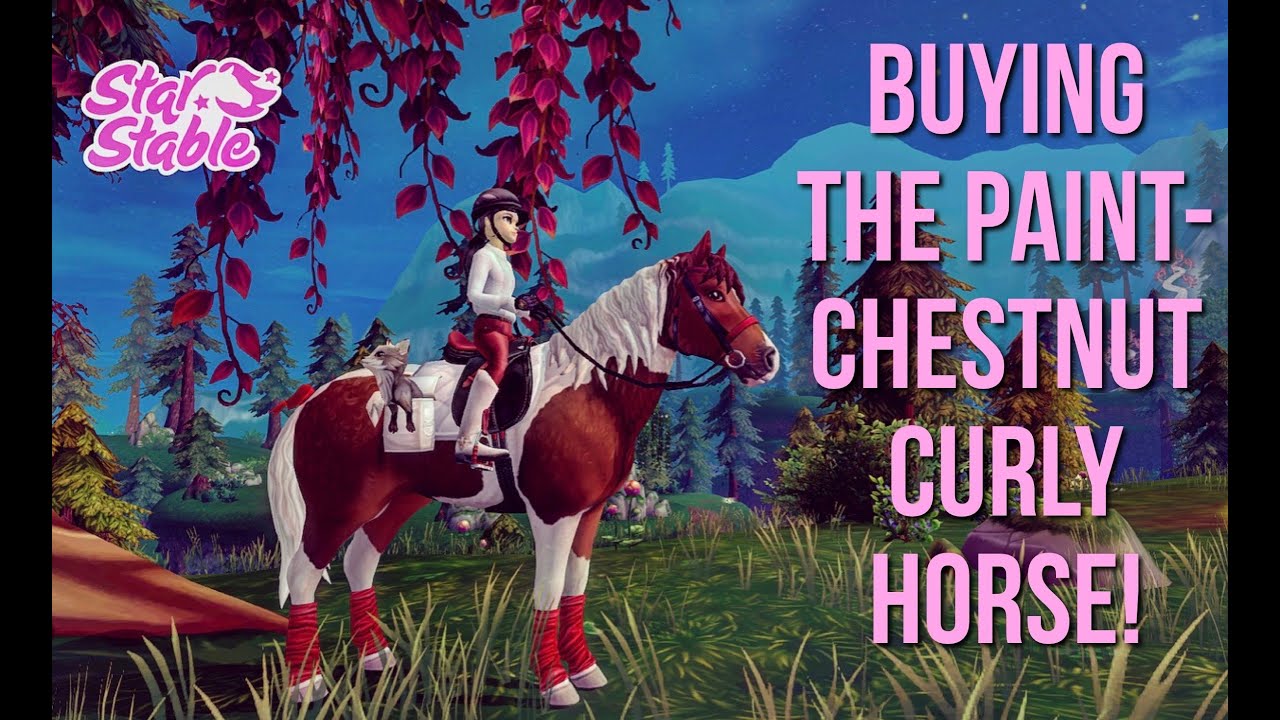 BUYING THE PAINT-CHESTNUT CURLY HORSE! | STAR STABLE ONLINE | SSO