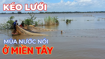KÉO LƯỚI MÙA NƯỚC NỔI Ở MIỀN TÂY @CHUNGKOBEL