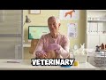 Is Your Dog Bumping Into Things? Try This 5-Second Morning Routine.