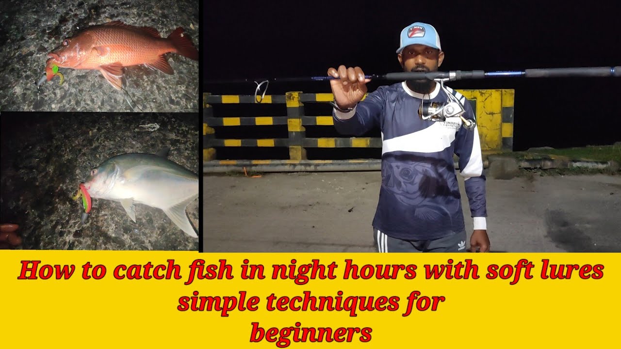 How to cath fish in night hours with soft lures,Simple techniques for