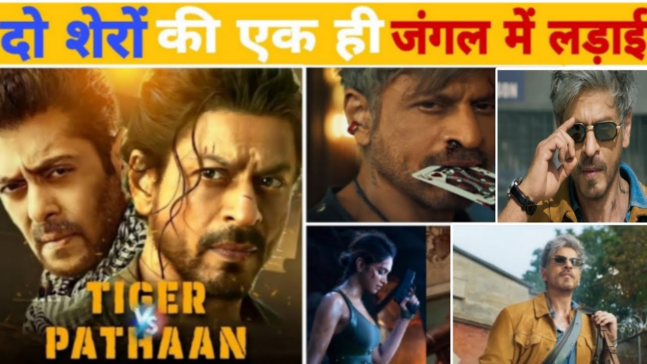 The Clash of Titans-दो शेरों की एक ही जंगल में लड़ाई | टाइगर वर्सेस पठान सिर्फ एक फिल्म नहीं  है।