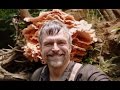 Massive Mushroom Metal Detecting Adventure | Aquachigger