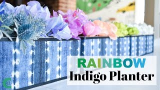 Rainbow Indigo Planter
