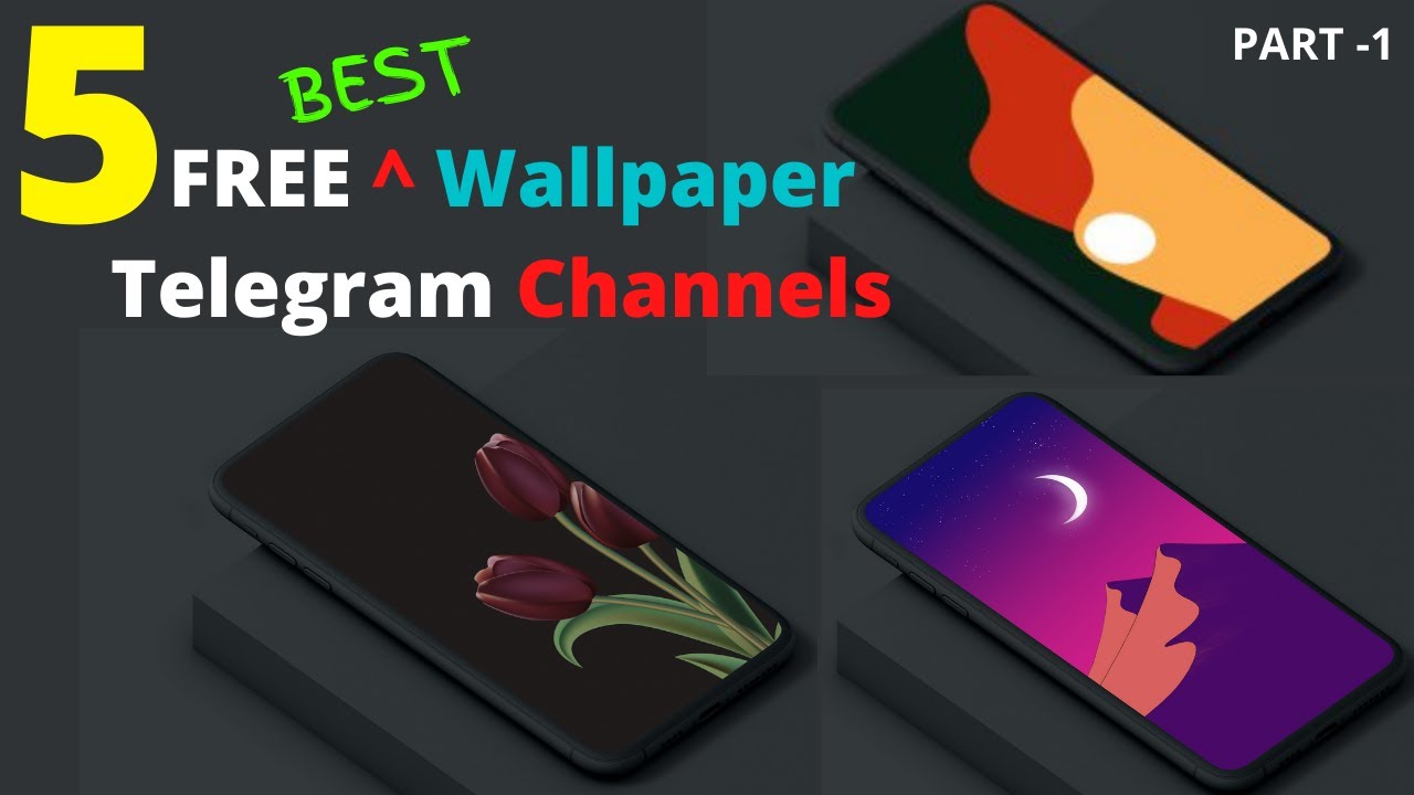 Langkah Mudah Mengganti Wallpaper Telegram di iPhone Beranilah