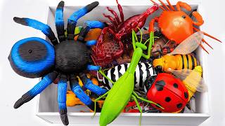 [toy asmr] ZURU Robo Alive Remote Control Spider &amp; Robotic Insect Toys ASMR ✨ No talking 🔇