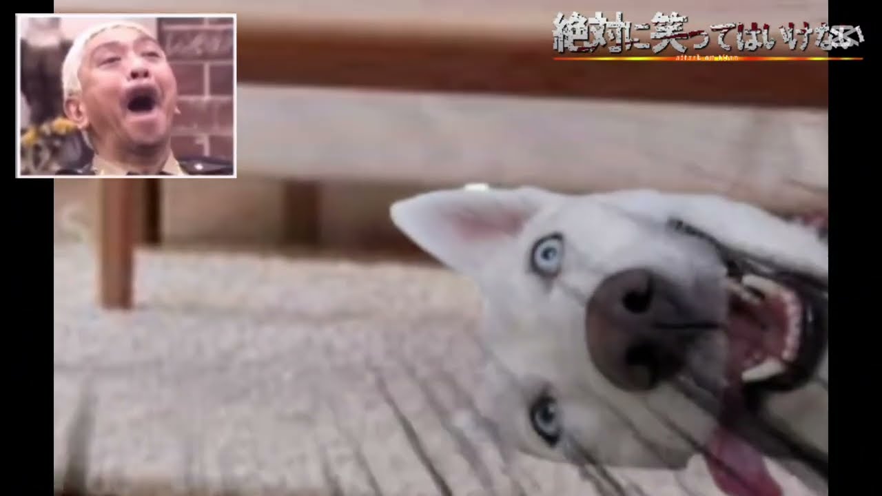 笑ってはいけないｵﾅﾗ0️⃣0️⃣4️⃣