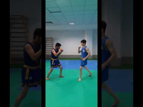 آموزش فنون درگیری در ووشو ساندا توسط استاد خان زاده آموزش تخصصی و خصوصی حرفه ای