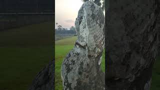 The Lion, Angkor Wat #shorts #shortsfeed #fyp #youtubeshorts #trendingshorts #foryou