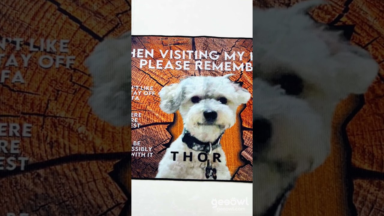 Custom Dog Photo When Visiting My House Personalized Doormat 