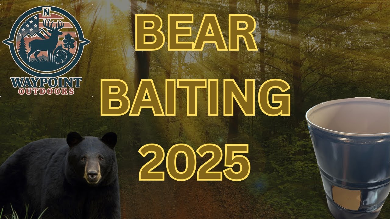 Bear Baiting 2025 Starts Now | Setting Up for the Season