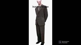 Top 5 Bingus's!