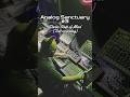 Analog Sanctuary #3 Divine State of Mind (Test recording)