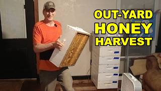 Three Out Yards, One Honey Harvest