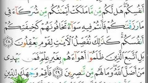 مصحف التجويد صفحة 407 ابراهيم الأخضر