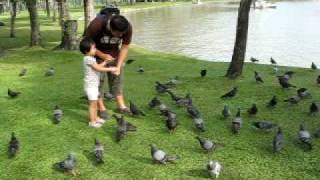 Picture 444.avi