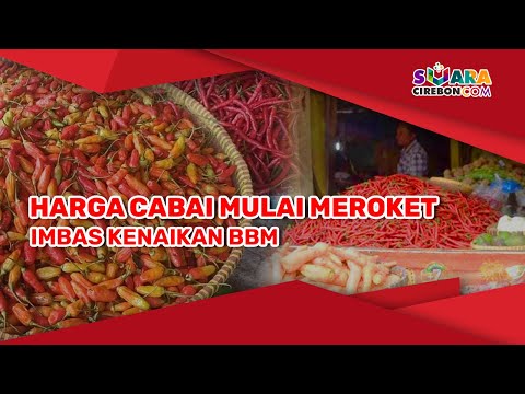 Harga Cabai Mulai Meroket Imbas Kenaikan BBM