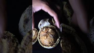 Midnight Wood Apple Quest: From Tree to Fresh Juice
