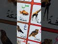 انا عندي سؤال محيرني ساعدوني
