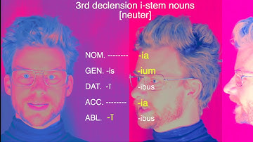 Latin 3rd declension i-stem noun endings song